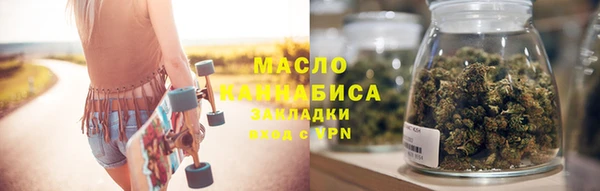 индика Снежногорск