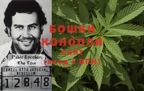 сатива Ладушкин