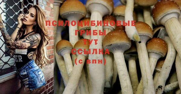 сатива Ладушкин