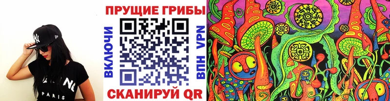 ссылка на мегу ONION  Ачхой-Мартан  Псилоцибиновые грибы Cubensis 